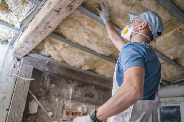 Best Insulation Inspection Services  in Roselle, IL