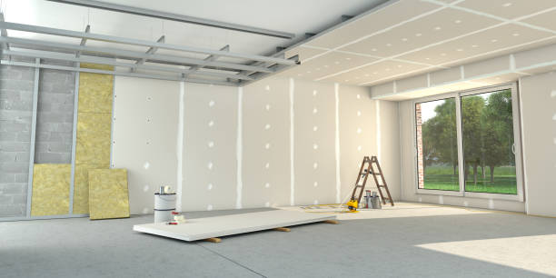 Best Insulation Removal  in Roselle, IL