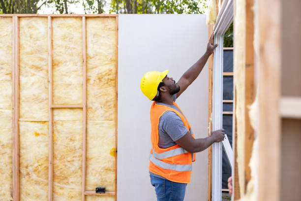 Best Spray Foam Insulation  in Roselle, IL