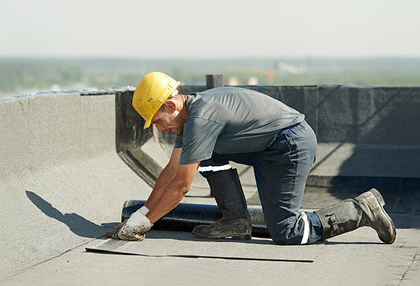 Best Residential Insulation Services  in Roselle, IL