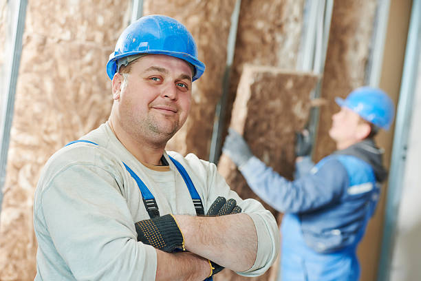 Best Local Insulation Services  in Roselle, IL