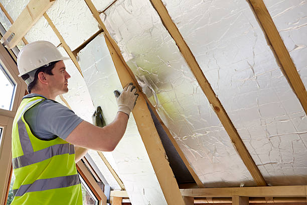 Best Spray Foam Insulation  in Roselle, IL
